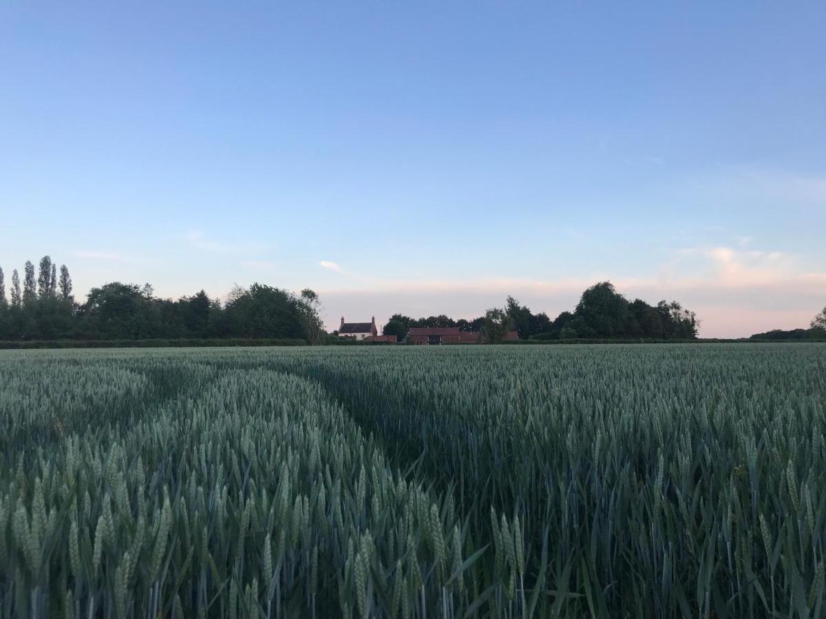 Chestnut * Dereham